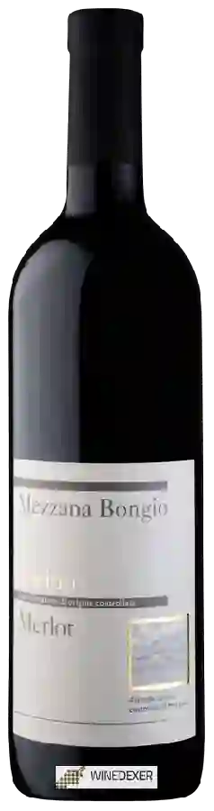Winery Cantonale di Mezzana - Mezzana Bongio Merlot