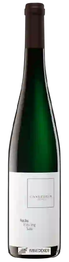 Winery Cantzheim - Der Fuchs Riesling