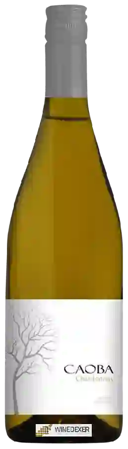 Winery Caoba - Chardonnay Winery Caoba - Chardonnay