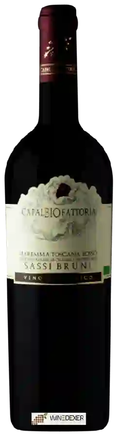 Winery Capalbio - Sassi Bruni Winery Capalbio - Sassi Bruni