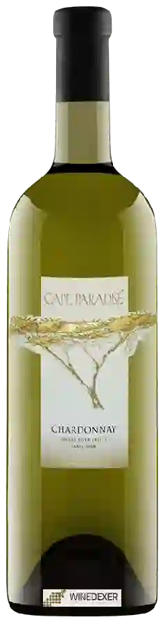Winery New Cape Wines - Cape Paradise Chardonnay Winery New Cape Wines - Cape Paradise Chardonnay