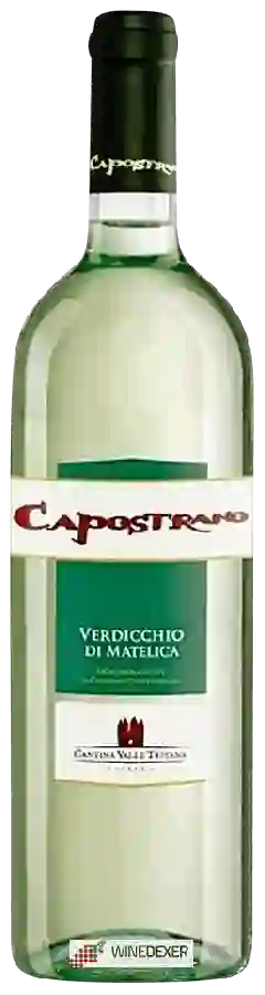 Winery Capostrano / Capestrano - Verdicchio di Matelica