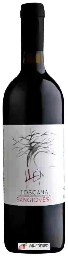 Winery Caprili - Ilex Toscana Winery Caprili - Ilex Toscana