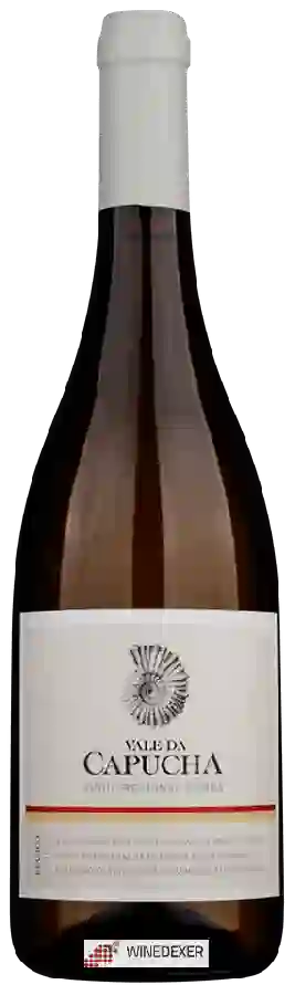 Winery Capucha - Branco