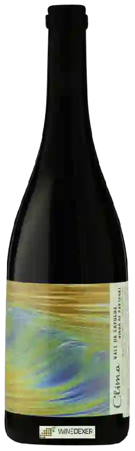 Winery Capucha - Clima Tinto
