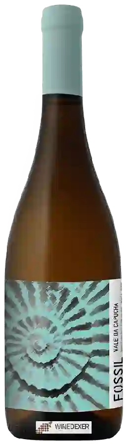 Winery Capucha - Fossil Winery Capucha - Fossil