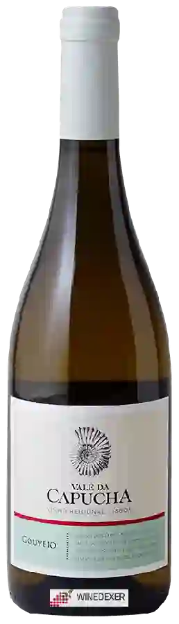 Winery Capucha - Gouveio