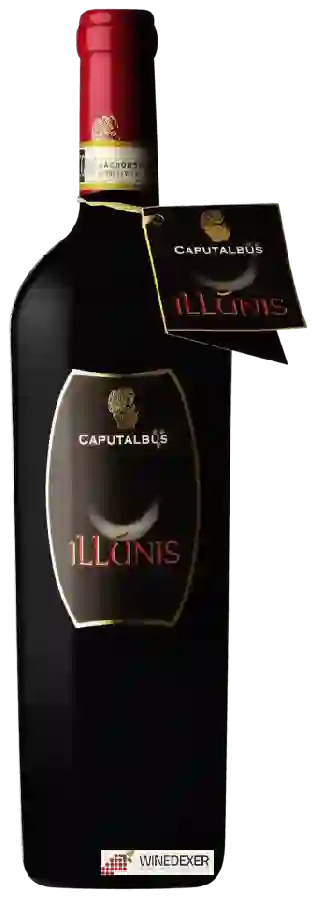 Winery Caputalbus - Illunis Winery Caputalbus - Illunis