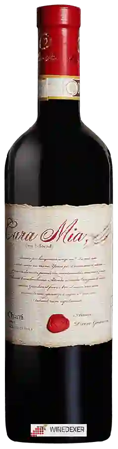 Winery Cara Mia - Chianti