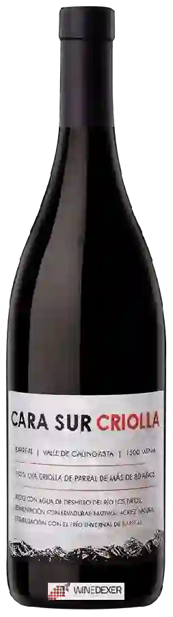 Winery Cara Sur - Criolla