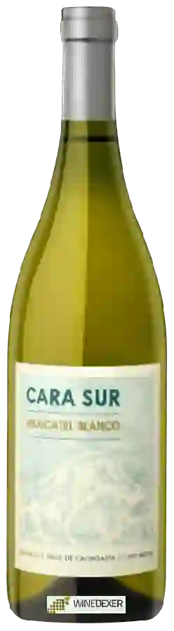 Winery Cara Sur - Moscatel Blanco Winery Cara Sur - Moscatel Blanco