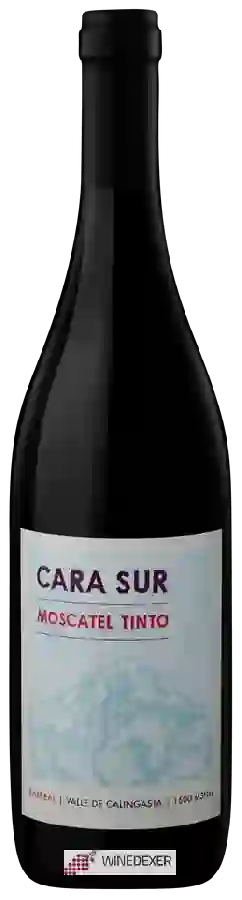 Winery Cara Sur - Moscatel Tinto Winery Cara Sur - Moscatel Tinto