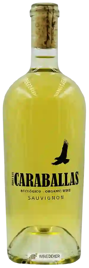 Winery Caraballas - Sauvignon Organic