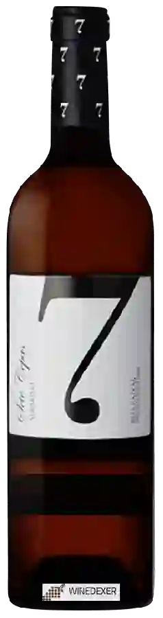 Winery Carballal - Sete Cepas Albariño