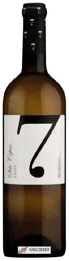 Winery Carballal - Sete Cepas Salnés