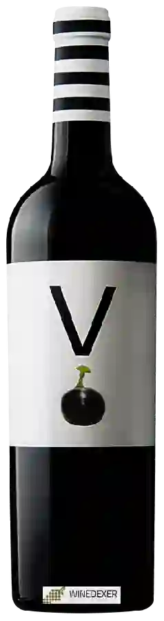Winery Carchelo - Vedré (V) Winery Carchelo - Vedré (V)