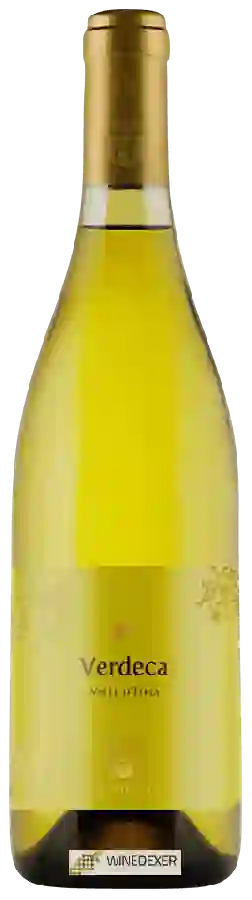 Winery Cardone - Verdeca