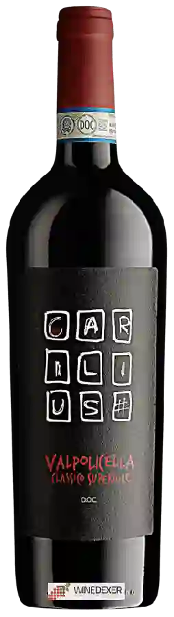 Winery Carilius - Valpolicella Classico Superiore