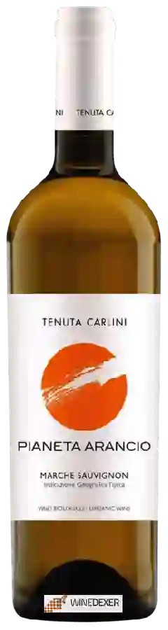 Winery Carlini - Pianeta Arancio Winery Carlini - Pianeta Arancio