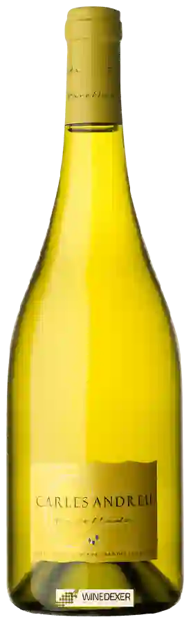 Winery Carles Andreu - Parellada