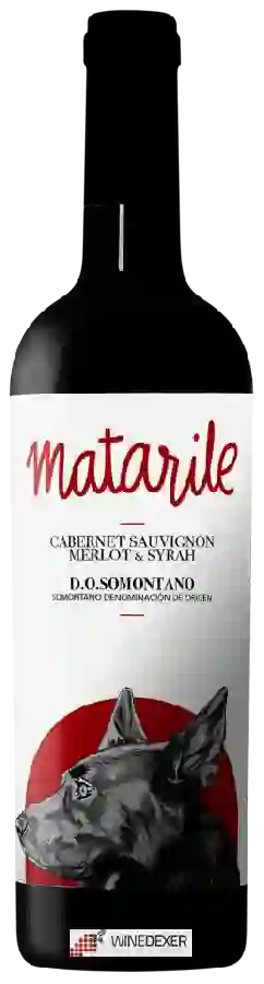 Winery Carlos Valero - Matarile