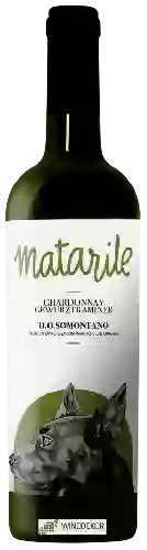 Winery Carlos Valero - Matarile Chardonnay - Gewürztraminer