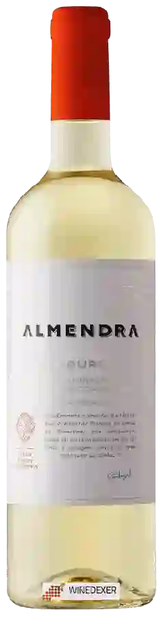 Winery CARM - Almendra Blanc Winery CARM - Almendra Blanc