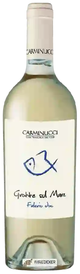 Winery Carminucci - Grotte Sul Mare Falerio