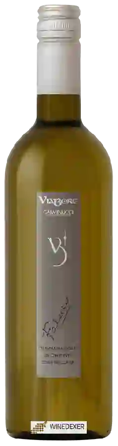 Winery Carminucci - Viabore Falerio Winery Carminucci - Viabore Falerio