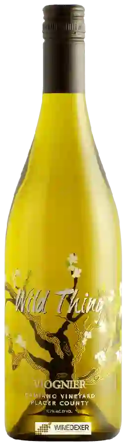 Winery Carol Shelton - Wild Thing Viognier (Damiano Vineyard) Winery Carol Shelton - Wild Thing Viognier (Damiano Vineyard)