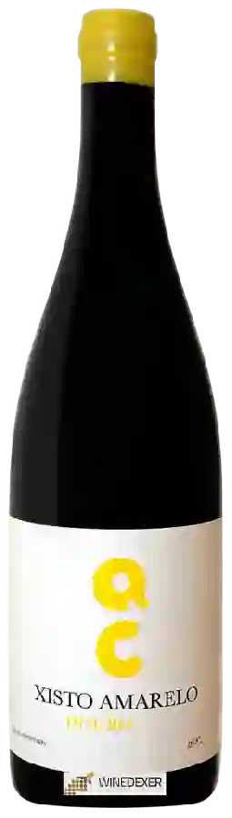 Winery Carolina - Xisto Amarelo Tinto