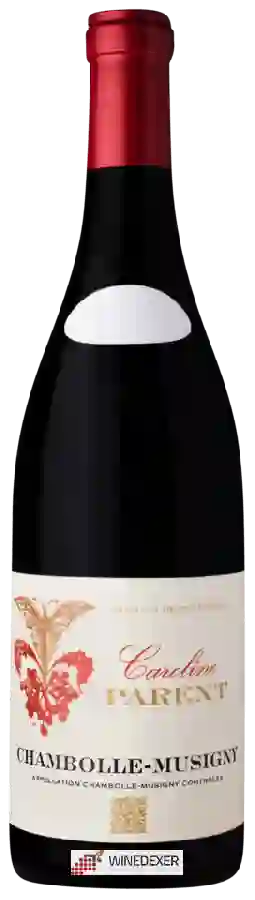 Winery Caroline Parent - Chambolle-Musigny Winery Caroline Parent - Chambolle-Musigny