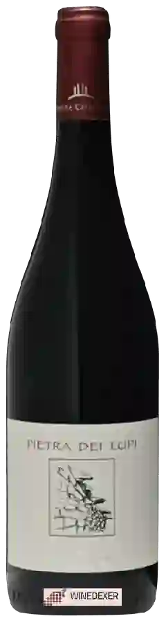 Winery Carpentiere - Pietra dei Lupi Rosso Winery Carpentiere - Pietra dei Lupi Rosso