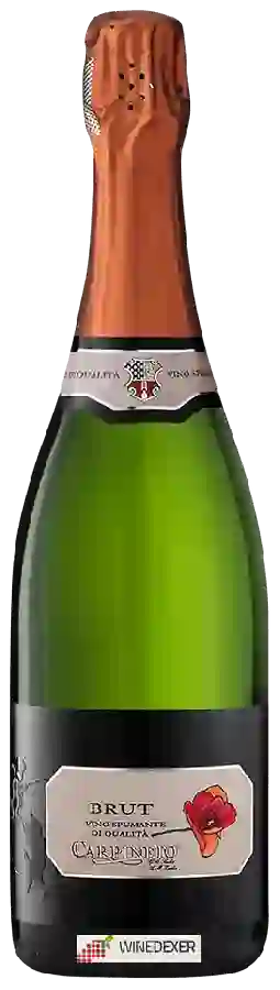 Winery Carpineto - Brut