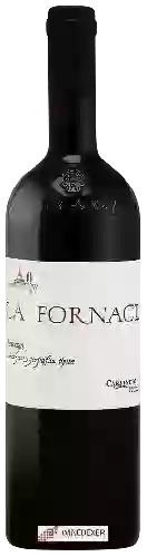 Winery Carpineto - La Fornace