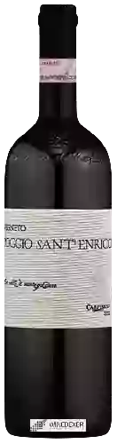 Winery Carpineto - Vigneto Poggio Sant'Enrico