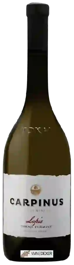 Winery Carpinus - Lapis Tokaji Furmint Winery Carpinus - Lapis Tokaji Furmint
