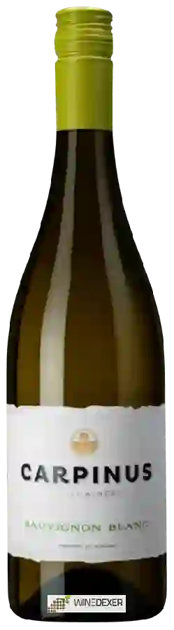 Winery Carpinus - Sauvignon Blanc