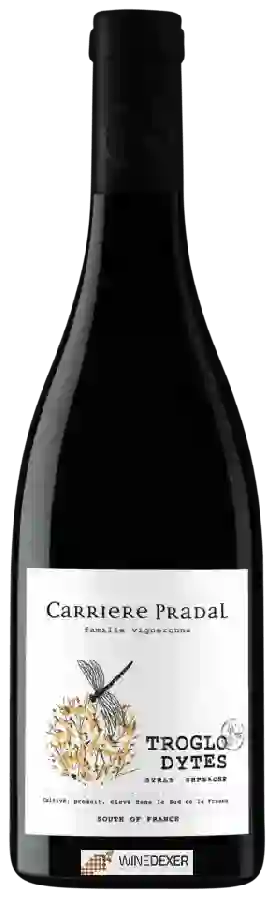 Winery Carriere Pradal - Troglodytes Winery Carriere Pradal - Troglodytes