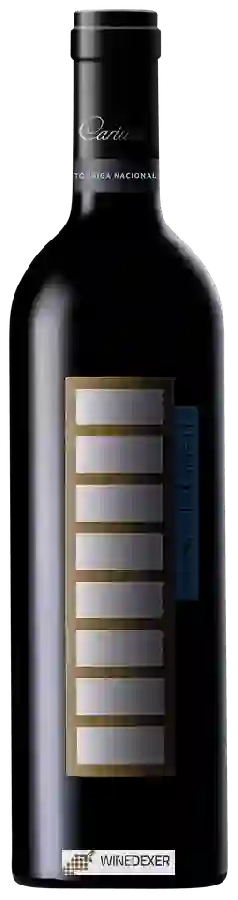 Winery Cartuxa - Scala Coeli Tinto Winery Cartuxa - Scala Coeli Tinto