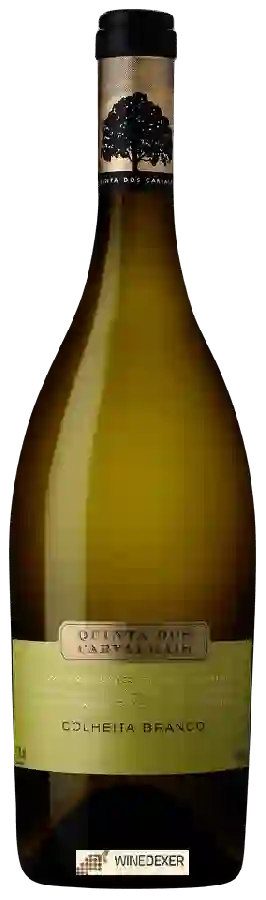 Winery Quinta dos Carvalhais - Colheita Branco Winery Quinta dos Carvalhais - Colheita Branco