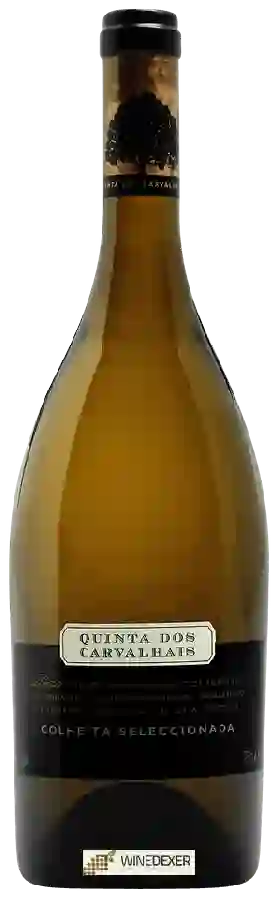 Winery Quinta dos Carvalhais - Dão Colheita Seleccionada Winery Quinta dos Carvalhais - Dão Colheita Seleccionada