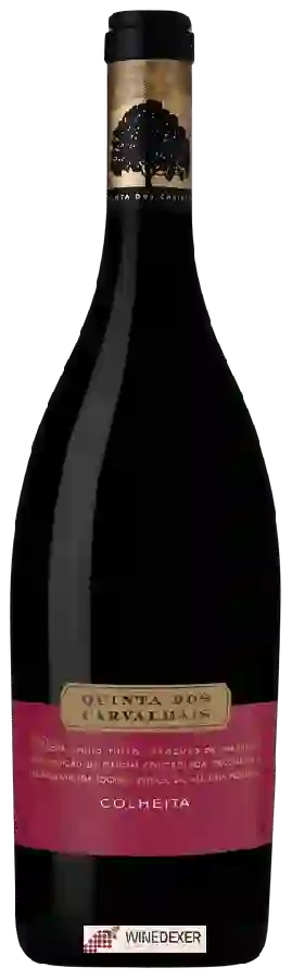 Winery Quinta dos Carvalhais - D&atildeo Colheita Tinto