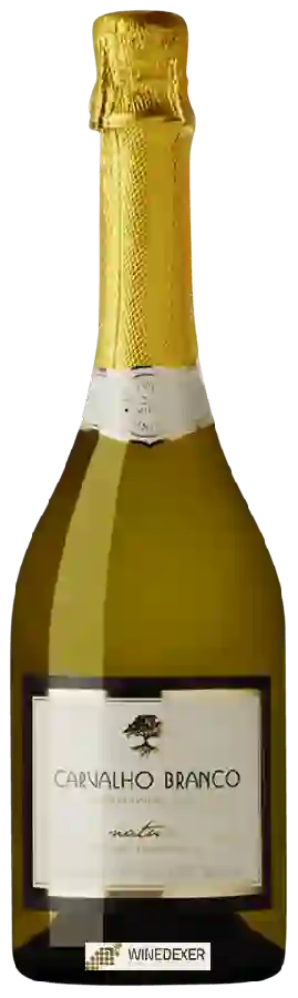 Winery Carvalho Branco - Nature