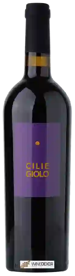 Winery Casa Alle Vacche - Ciliegiolo Winery Casa Alle Vacche - Ciliegiolo