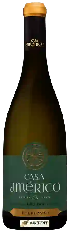 Winery Casa Américo - Encruzado