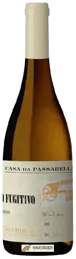 Winery Casa da Passarella - O Fugitivo Branco em Curtimenta