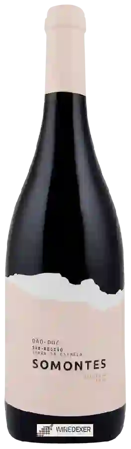 Winery Casa da Passarella - Somontes Tinto Winery Casa da Passarella - Somontes Tinto