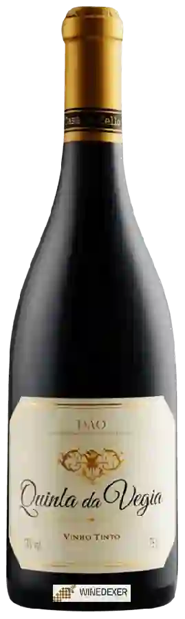Winery Casa de Cello - Quinta da Vegia Tinto
