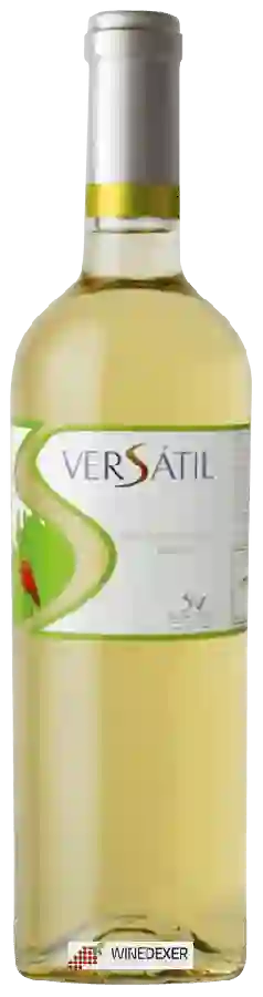 Winery Casa de Santa Vitoria - Versátil Branco